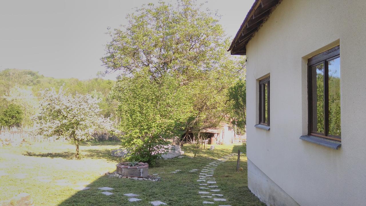 Kuca Za Odmor Radovanovic เดสโปโตวัก ภายนอก รูปภาพ